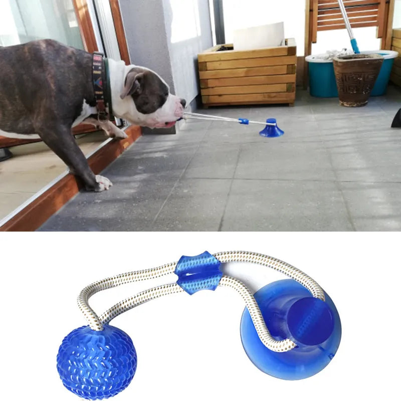 Puppy Interactive Suction Cup