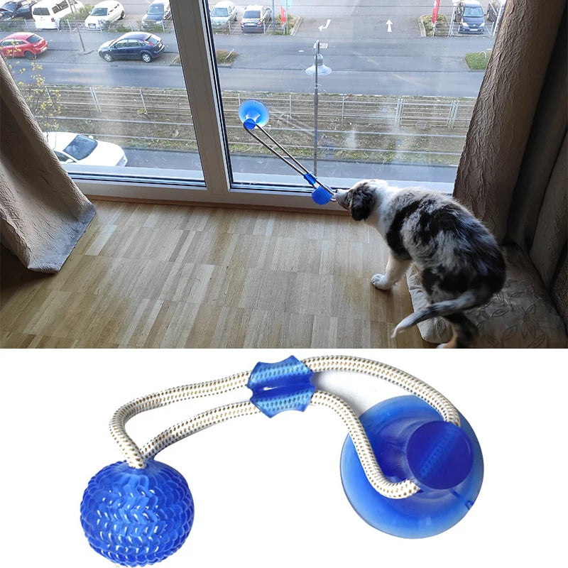 Puppy Interactive Suction Cup
